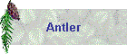 Antler