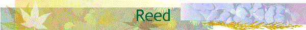 Reed