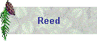 Reed